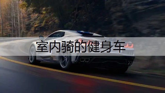 室内骑的健身车